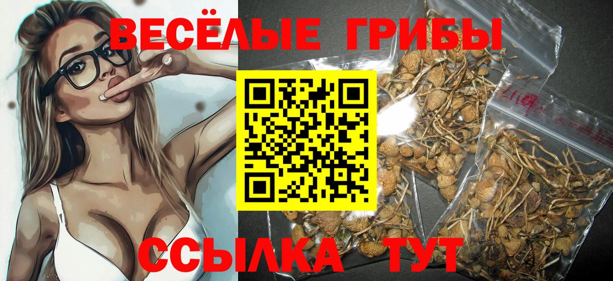 Славгород  Псилоцибиновые грибы GOLDEN TEACHER  Вход с VPN 