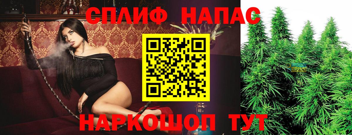 Конопля OG Kush Славгород